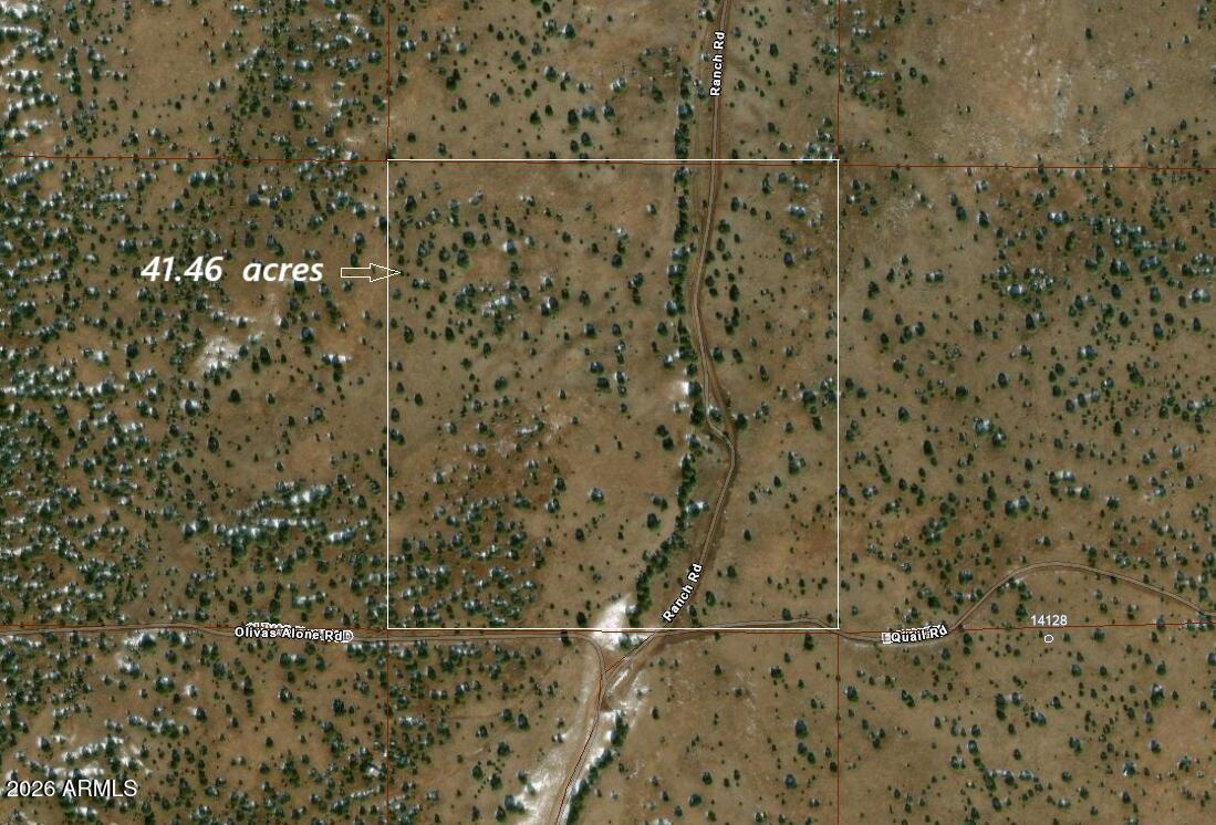 304 Olivas Alone Road 304