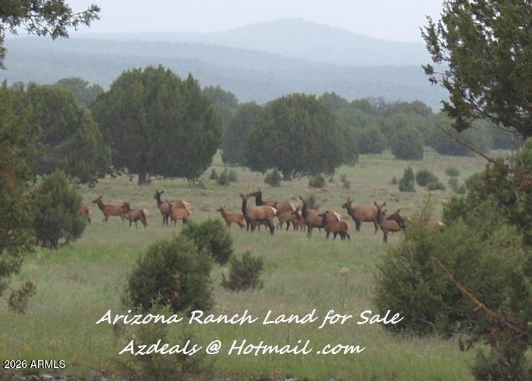 304 Olivas Alone Road 304