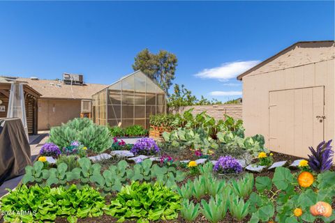 A home in Phoenix