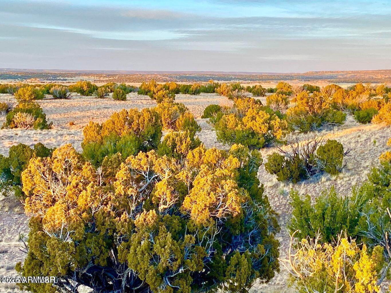 Woodland Valley Ranch Lot 902 -- -
