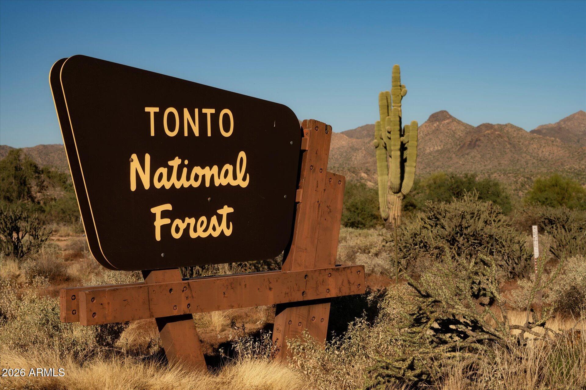 RIO VERDE FOOTHILLS - Land