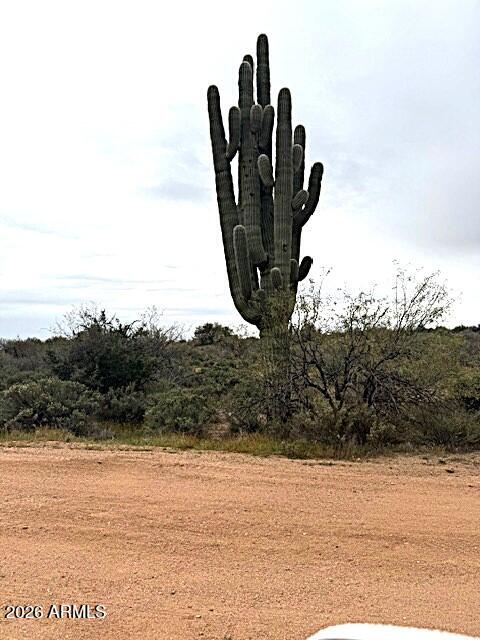 RIO VERDE FOOTHILLS - Land