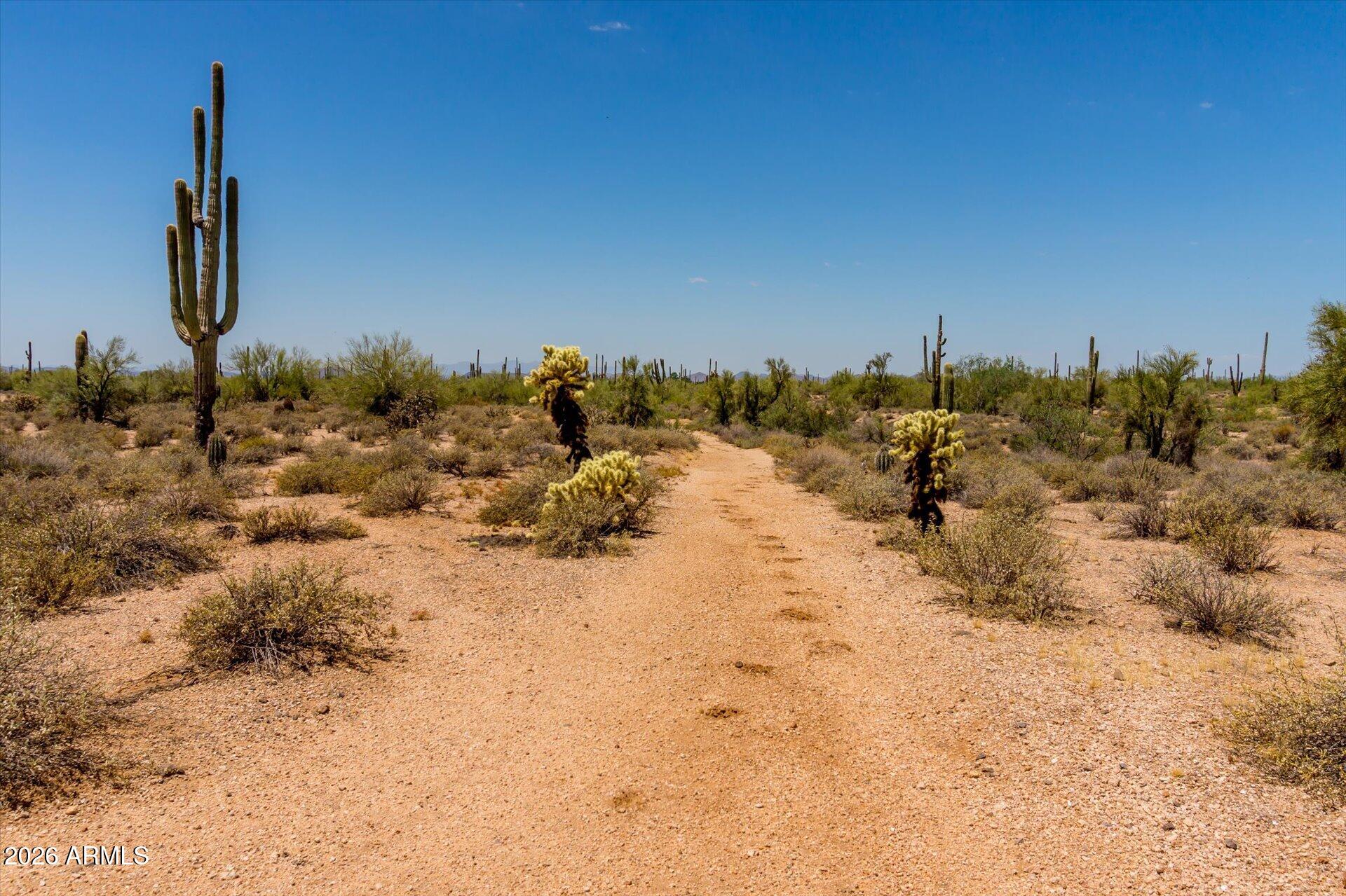 RIO VERDE FOOTHILLS - Land