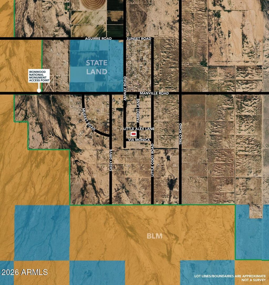 Photo of 5 N Parrot Lane #-, Marana, AZ 85653 (MLS # 7003004)