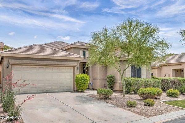 1167 N CHOLLA ST, CHANDLER, AZ 85224 - Image 6f52a34317b7e8aaefdc103de30108db/3365385159