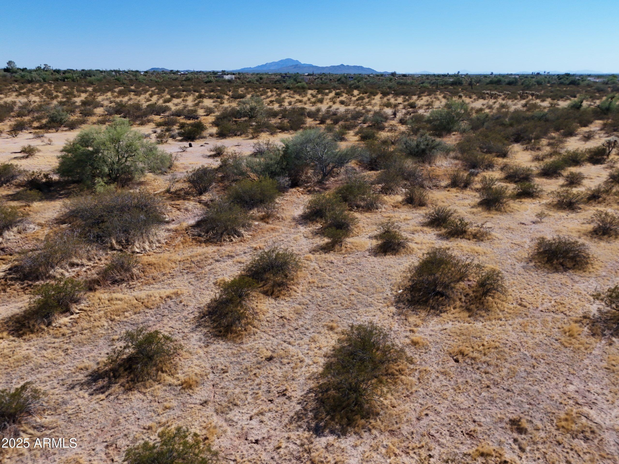 2 Cactus Forest Road C