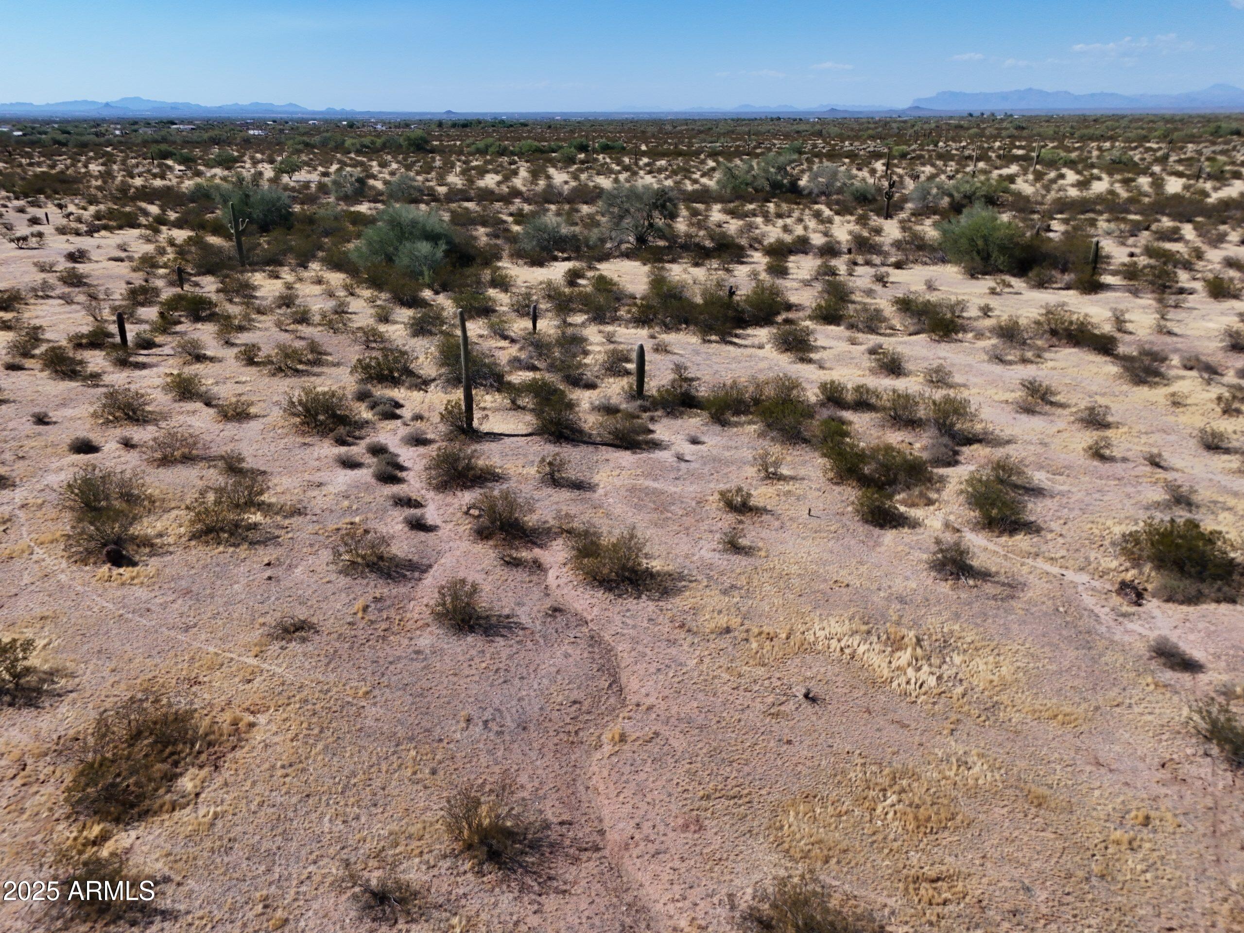 2 Cactus Forest Road C