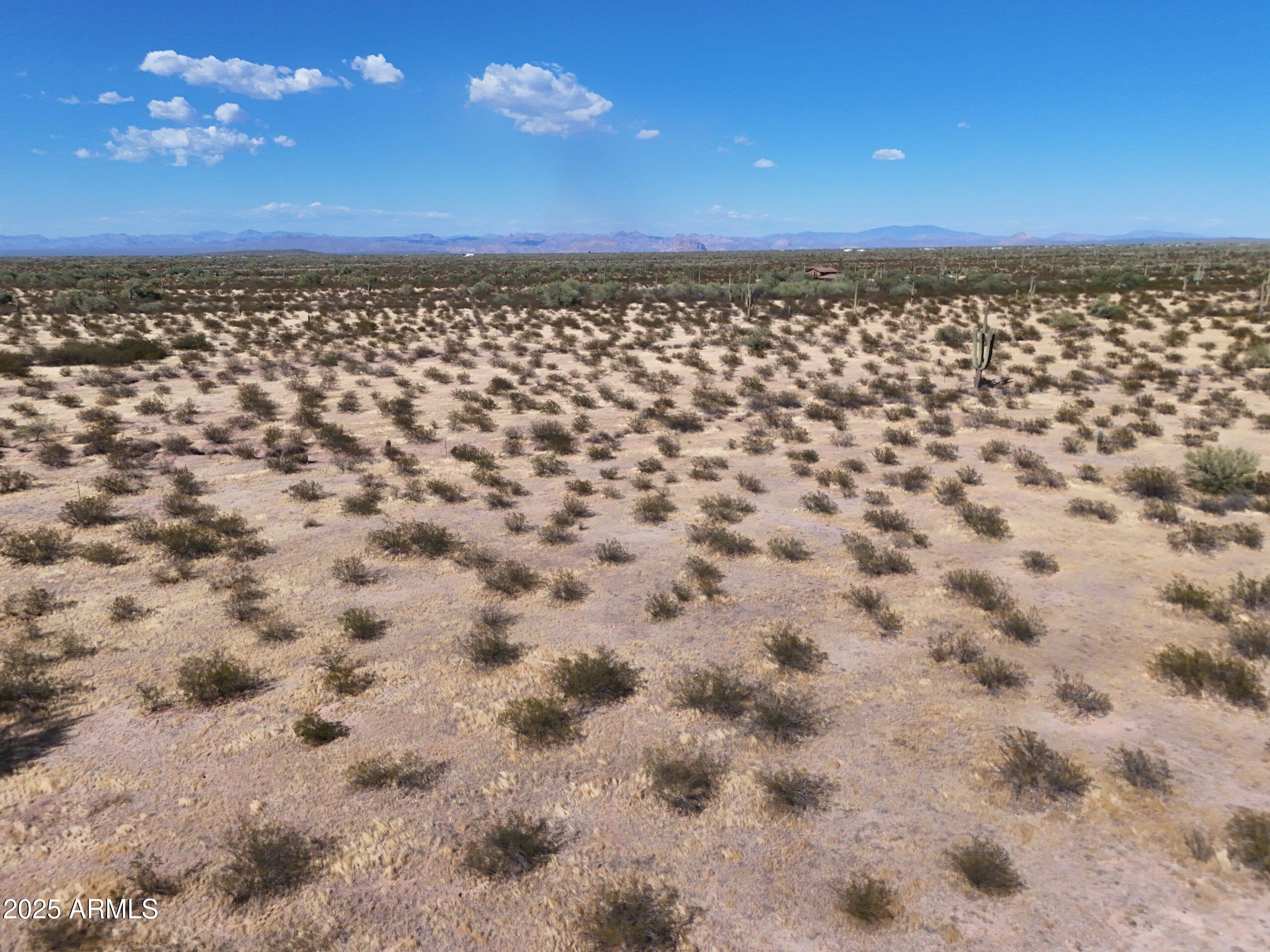 2 Cactus Forest Road C