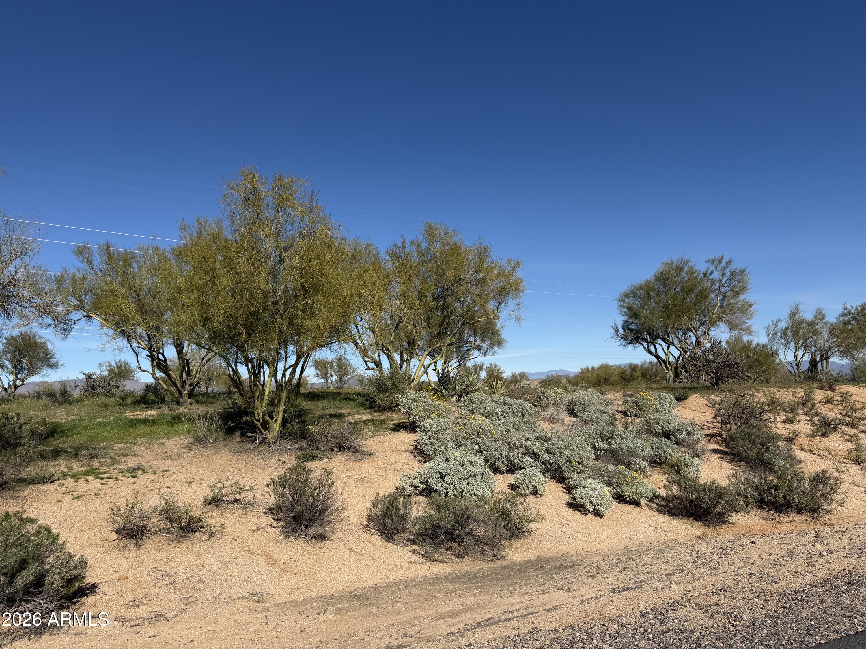 14022 E RANCHO DEL ORO Court 95