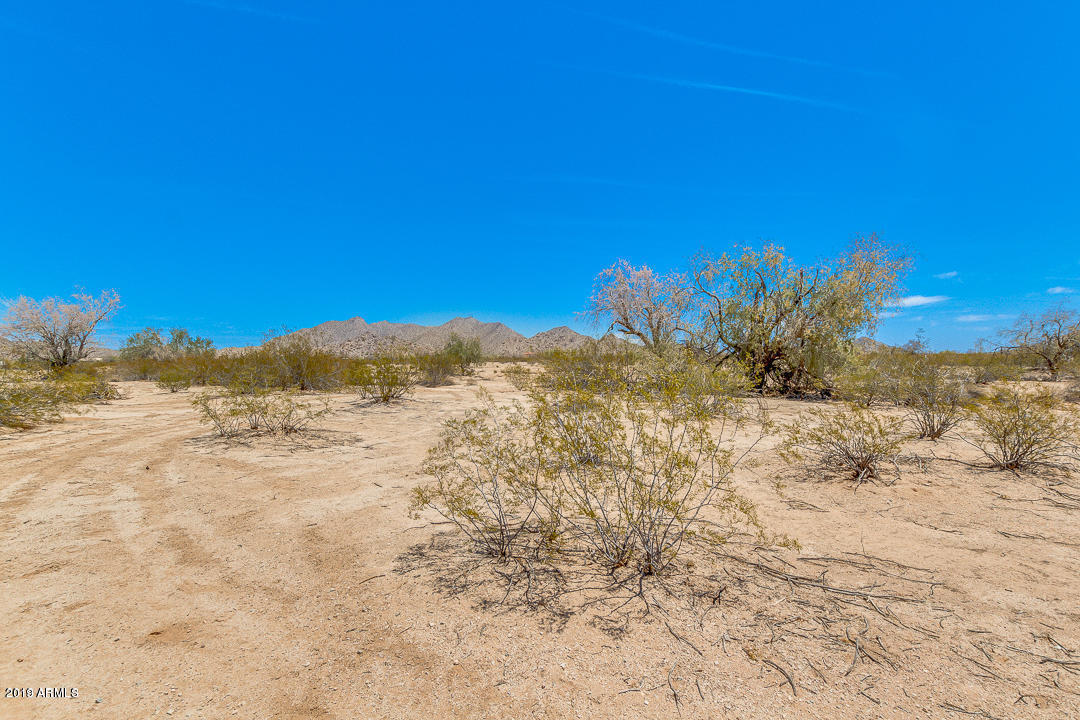 0 W Equestrian Street -/-/-