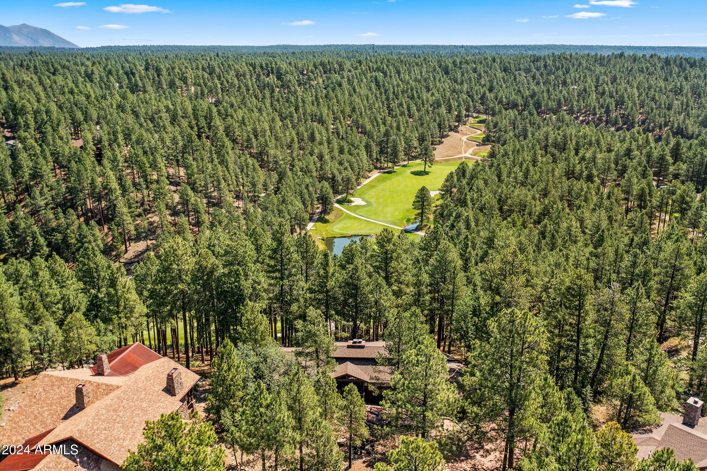 FOREST HIGHLANDS - Residential