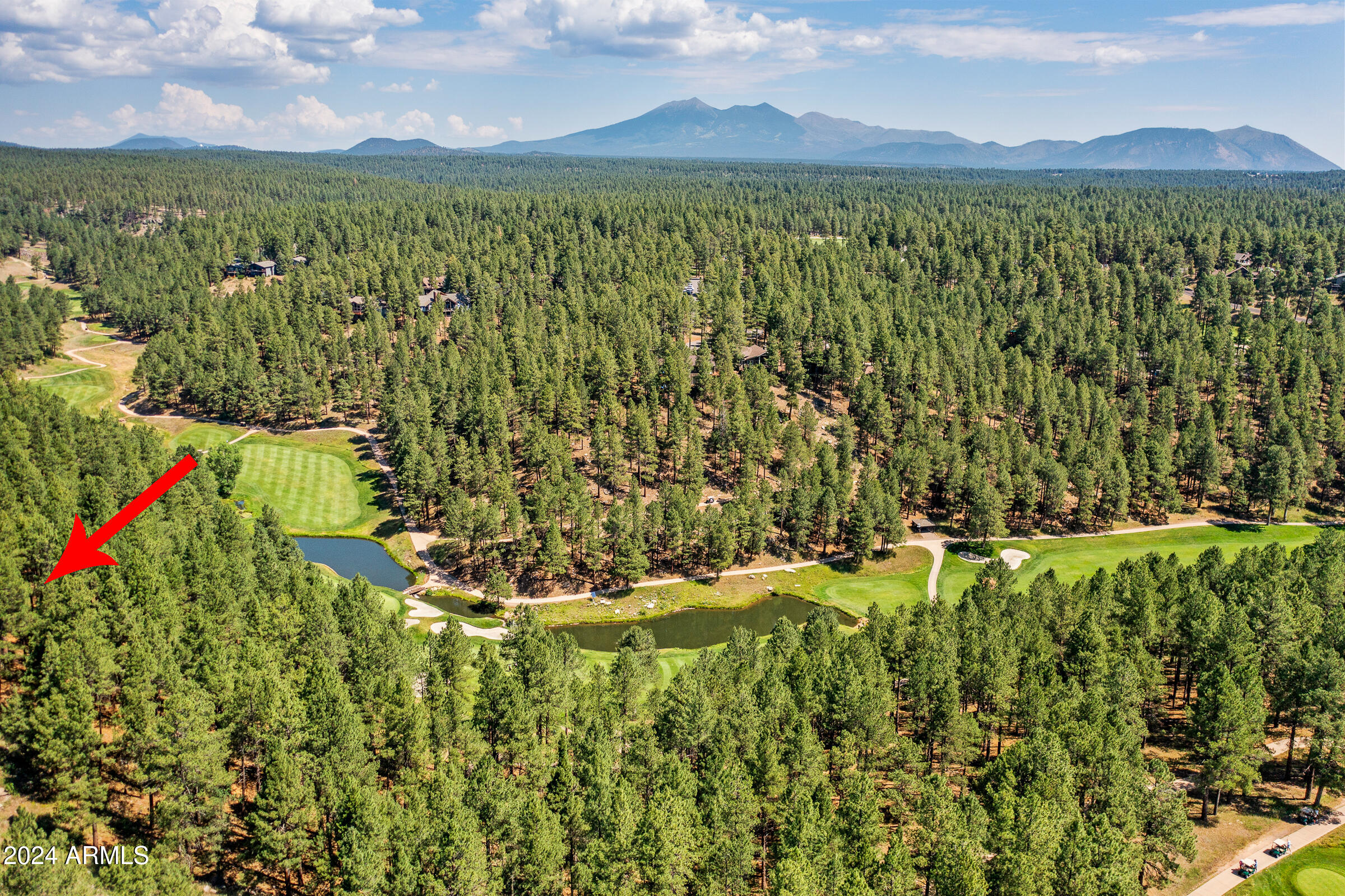 FOREST HIGHLANDS - Residential