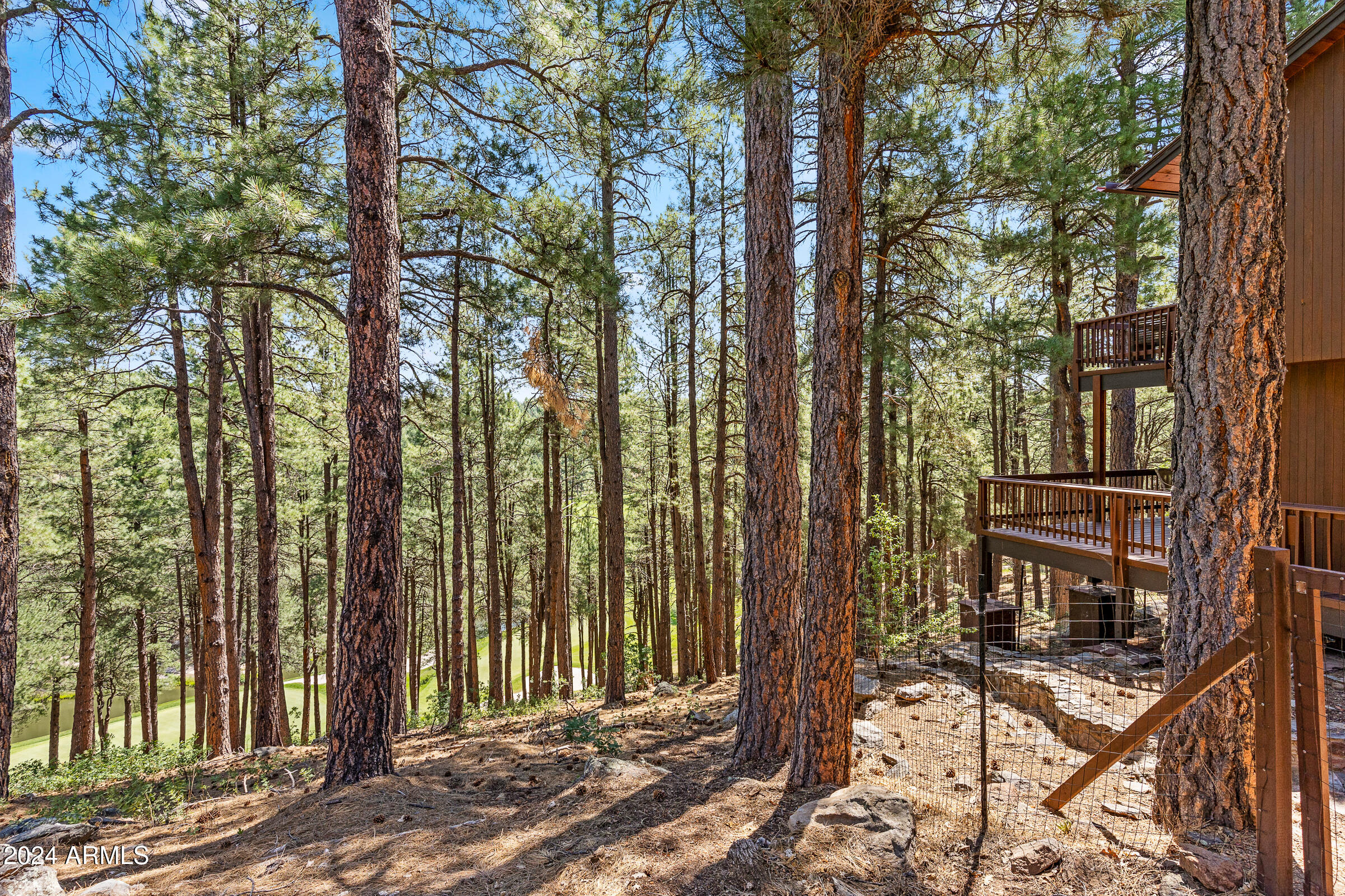 FOREST HIGHLANDS - Residential