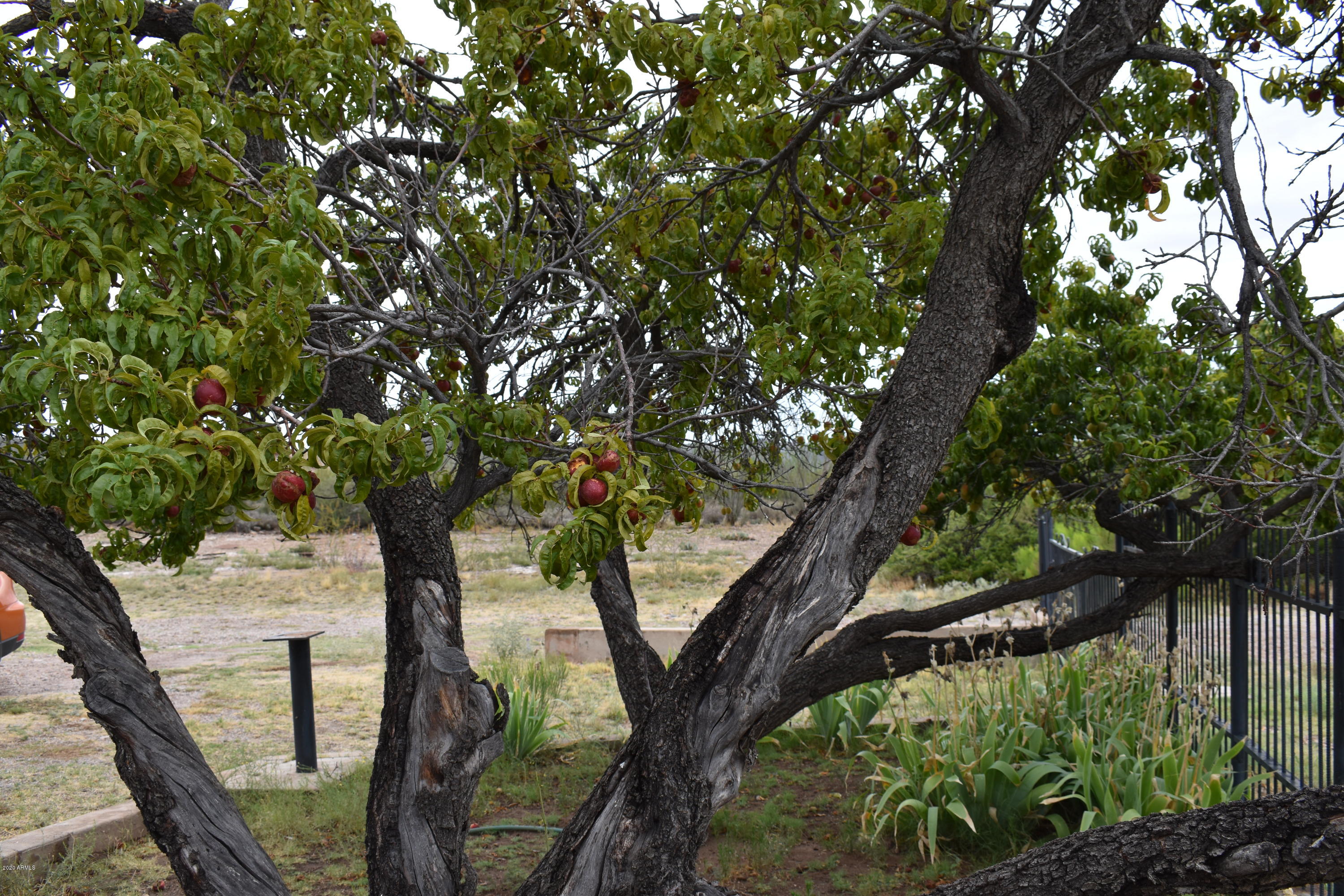 MOUNTAIN RANCH ESTATES UNIT 1 - Residential
