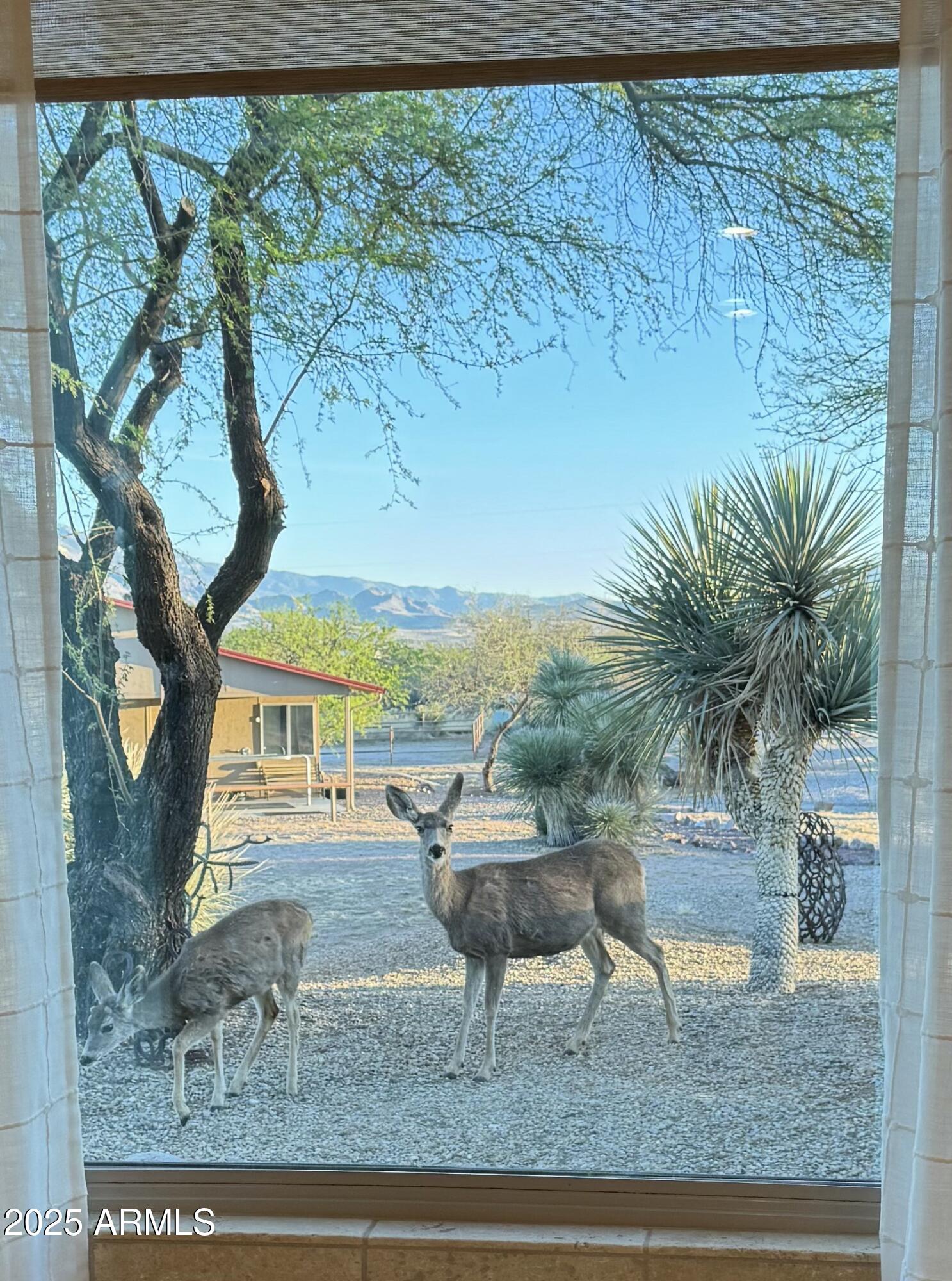 Red Hawk at JSix Ranch - Residential