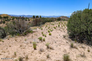 WICKIUP MESA UNIT 5 - Land