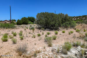 WICKIUP MESA UNIT 5 - Land