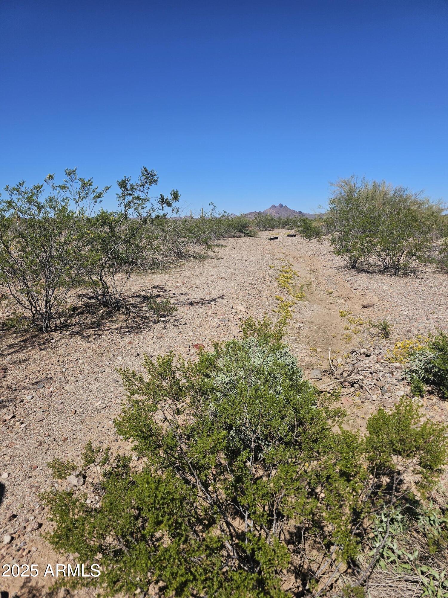 Homes for Sale in Queen Creek Arizona 1 32300 W Painted Wagon Trail 50