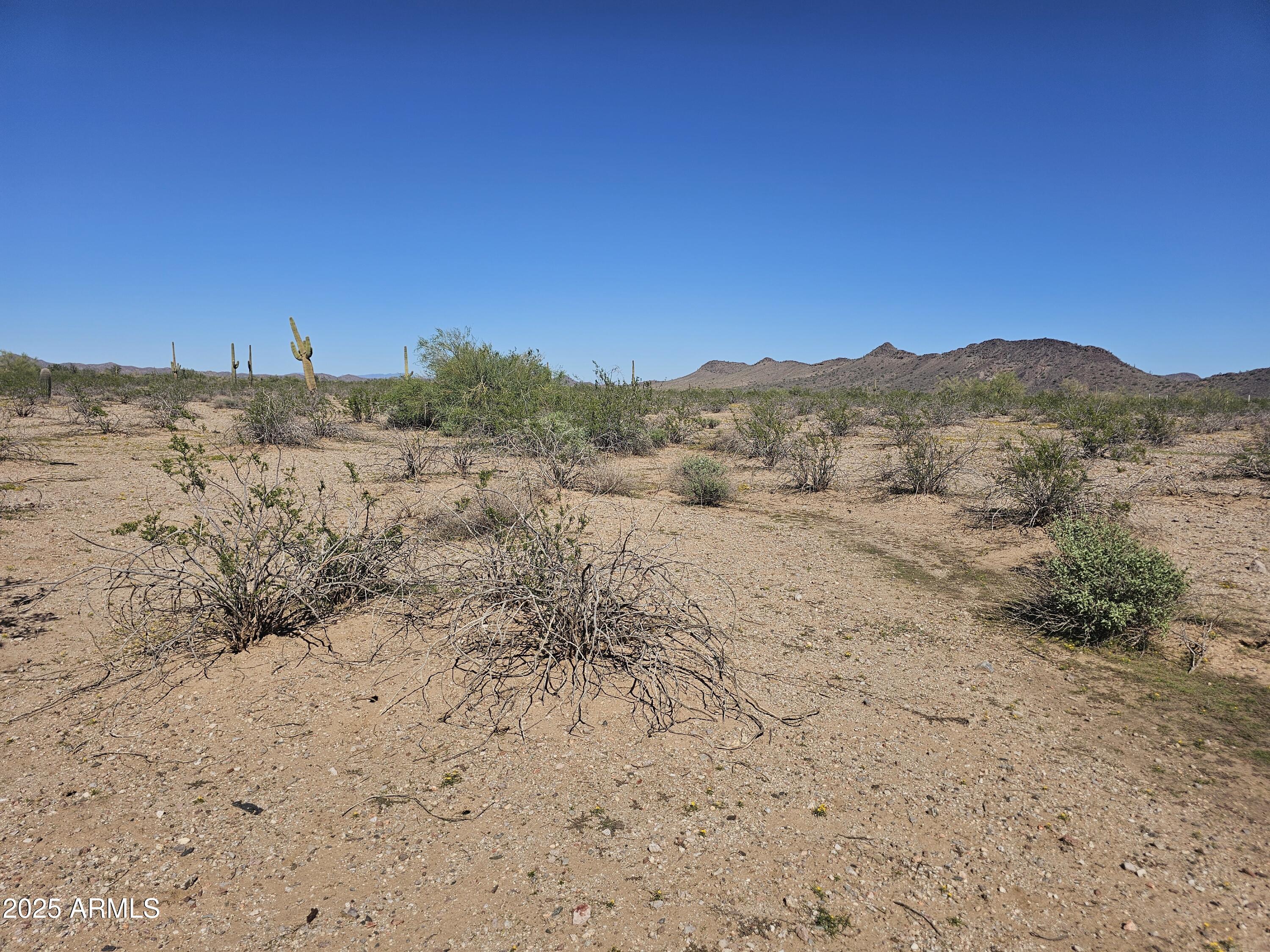 Homes for Sale in Queen Creek Arizona 2 32300 W Painted Wagon Trail 50