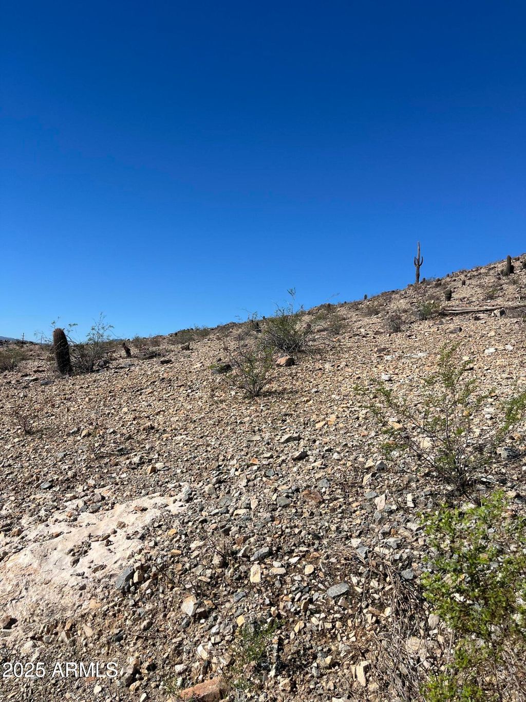 Photo of 2473 E Glenhaven Drive #9, Phoenix, AZ 85048 (MLS # 6934673)