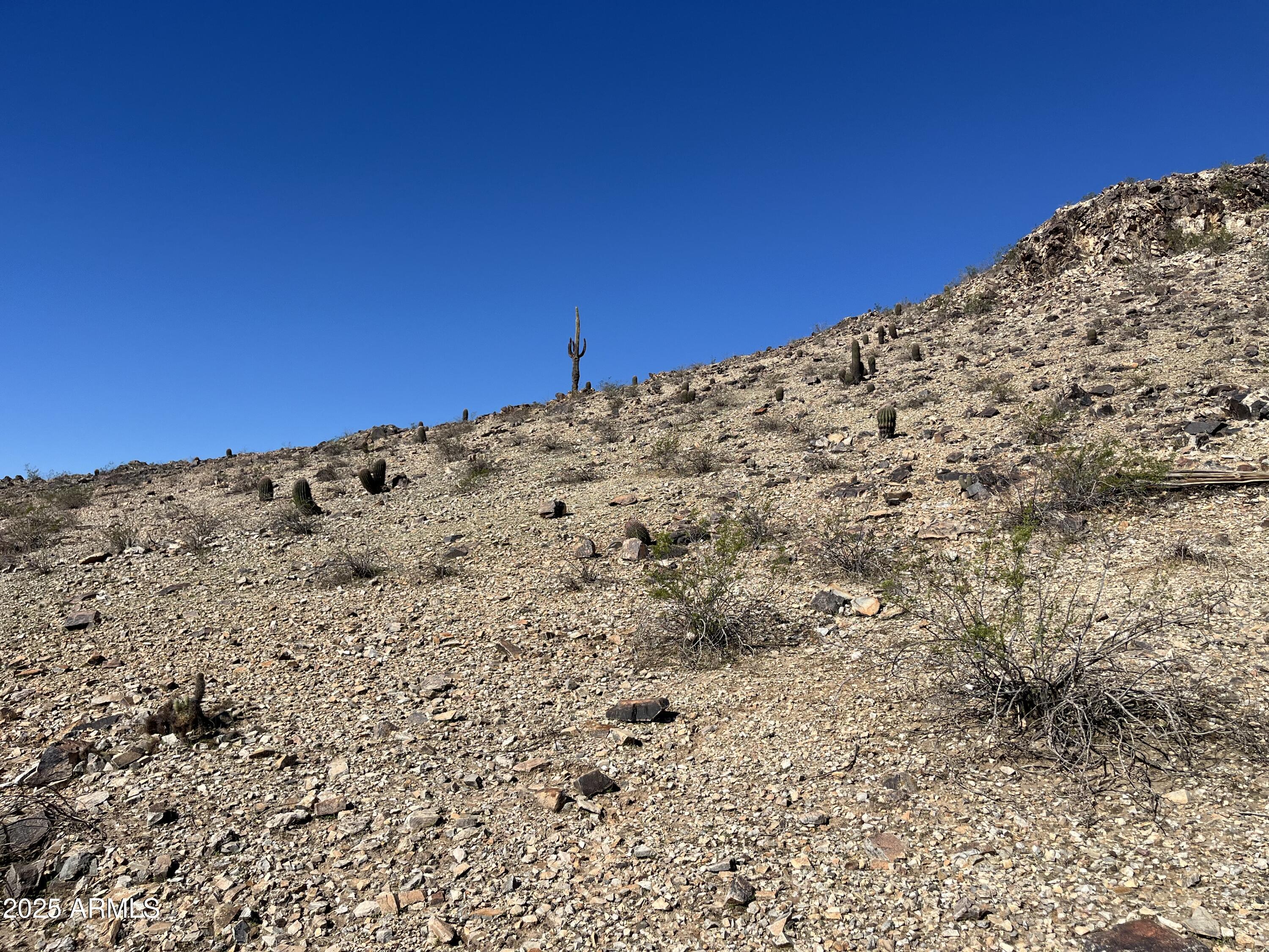 2473 E GLENHAVEN Drive 9