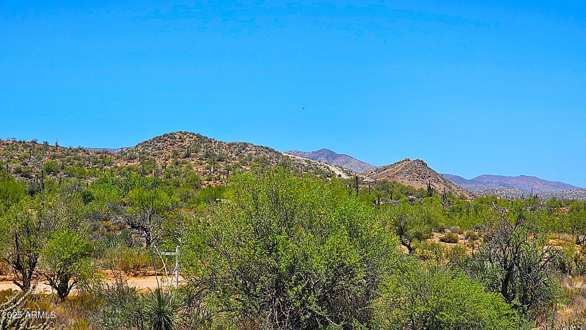 35533 N 136th Street -