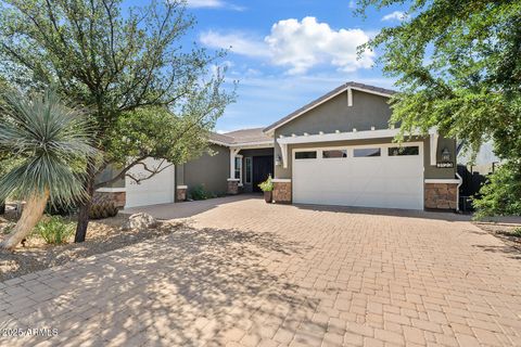 3123 E CAT BALUE Drive Phoenix AZ 85050