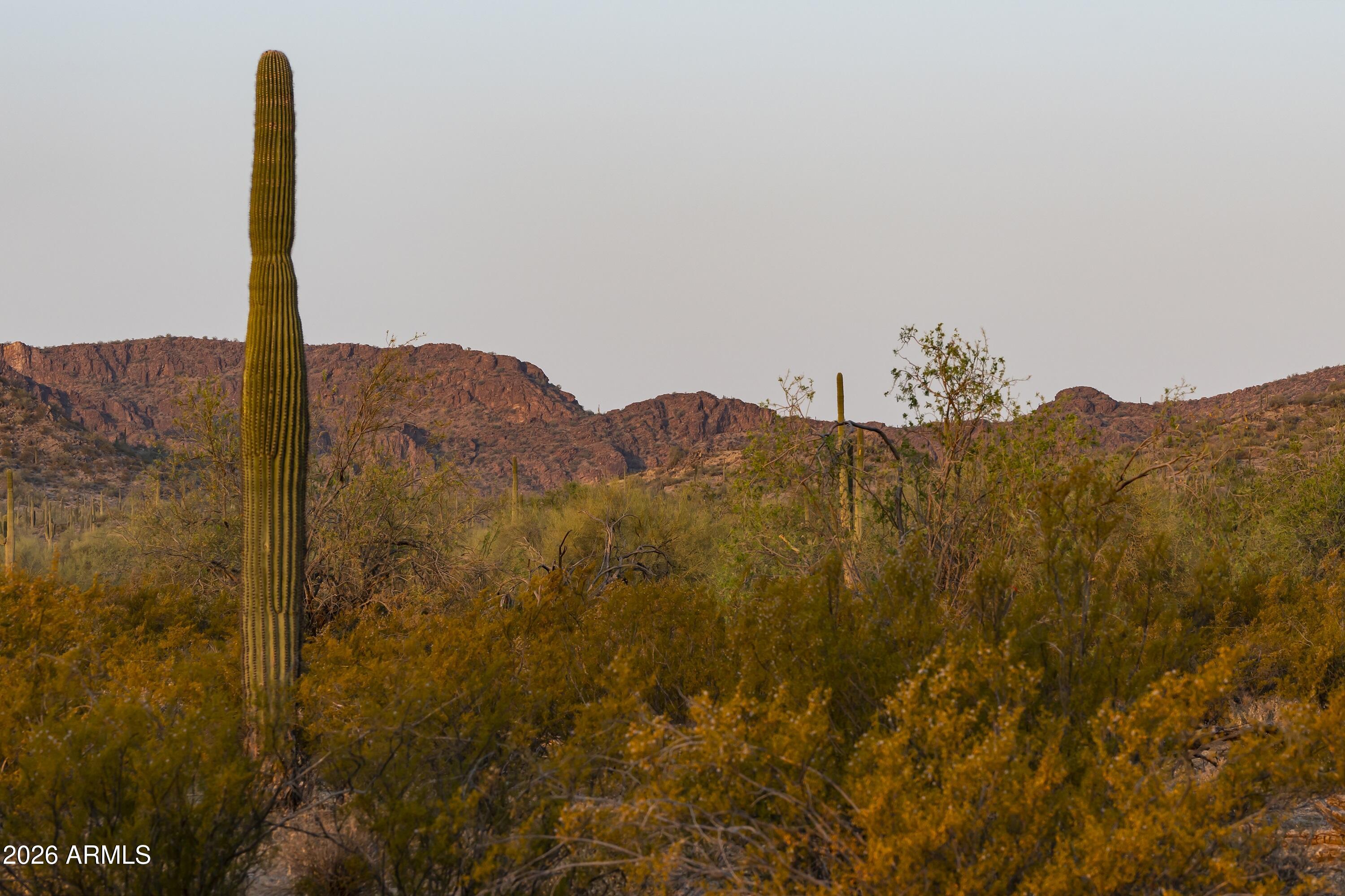 31321 N Crown King Lane