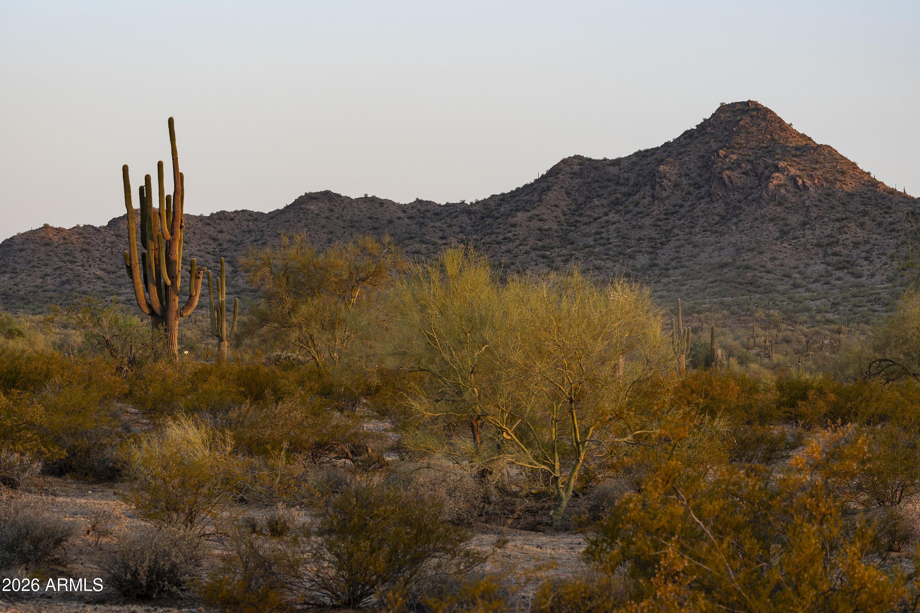 31321 N Crown King Lane