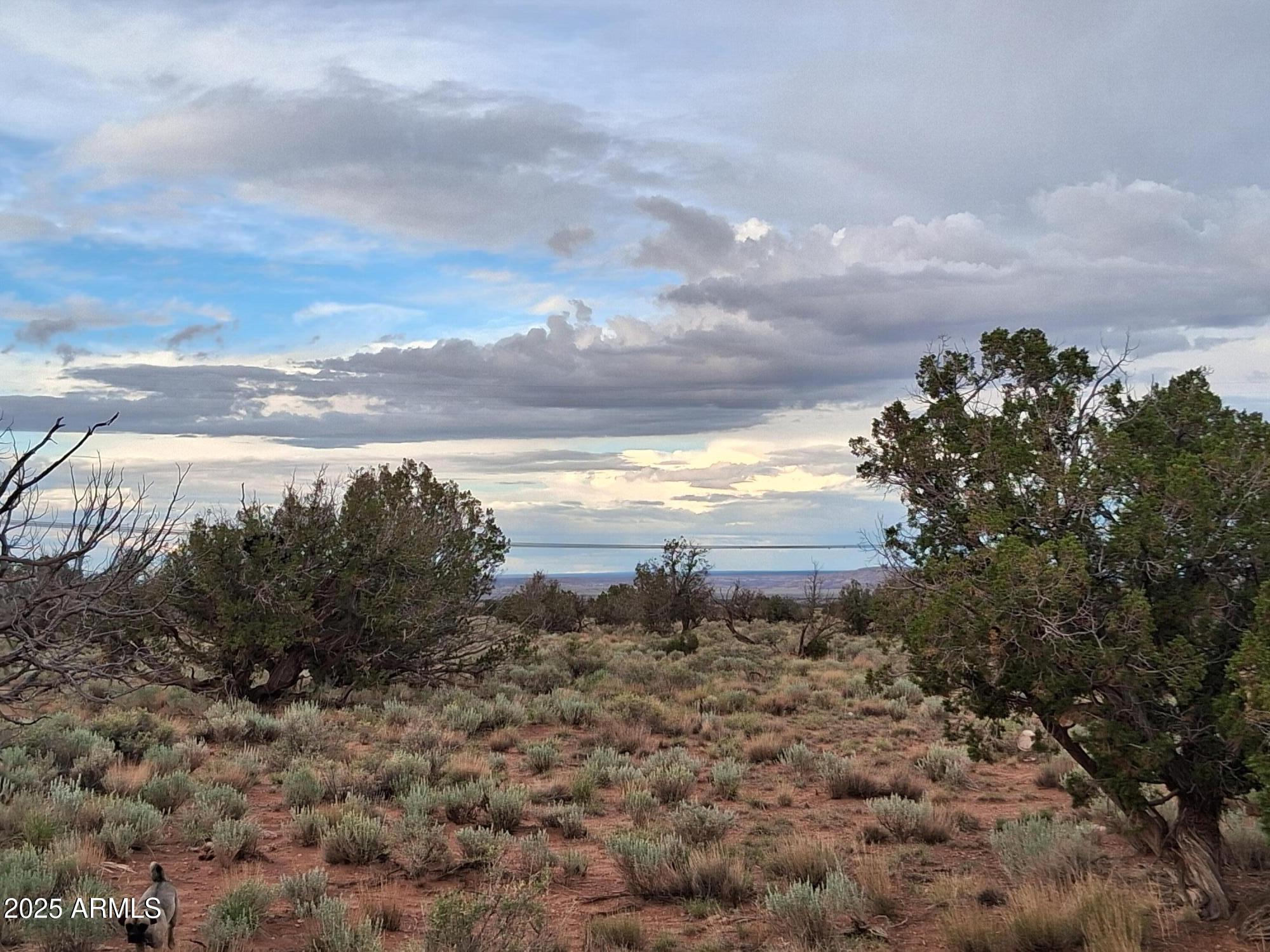 WOODRIDGE RANCH UNIT 8 - Land