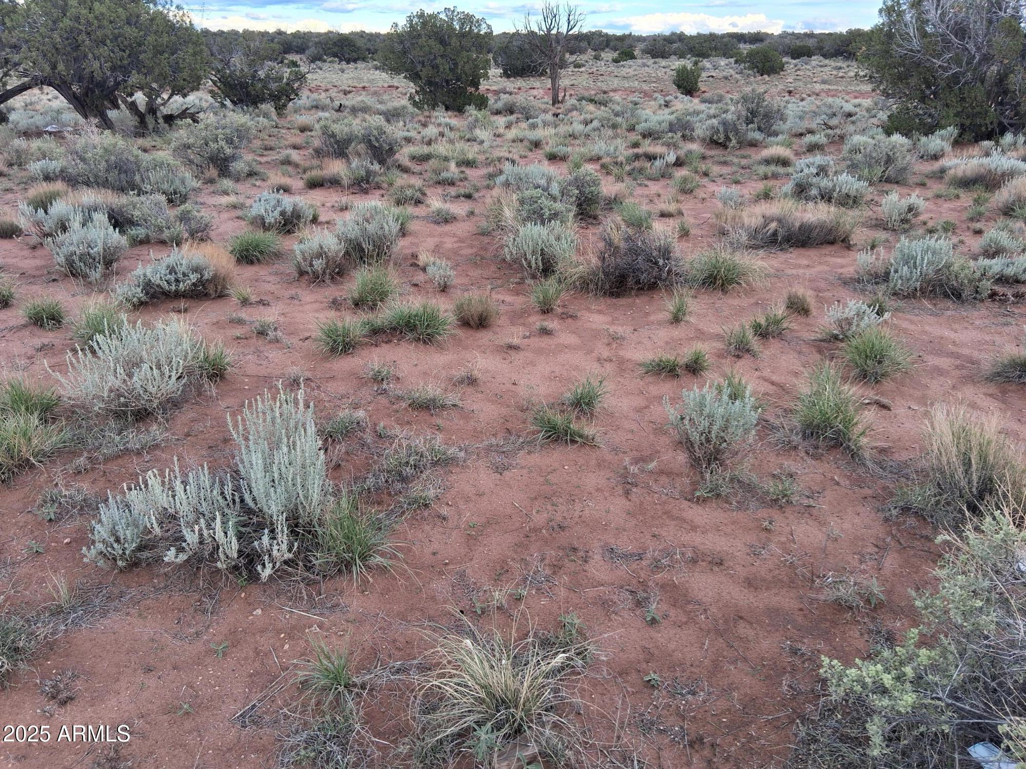 WOODRIDGE RANCH UNIT 8 - Land