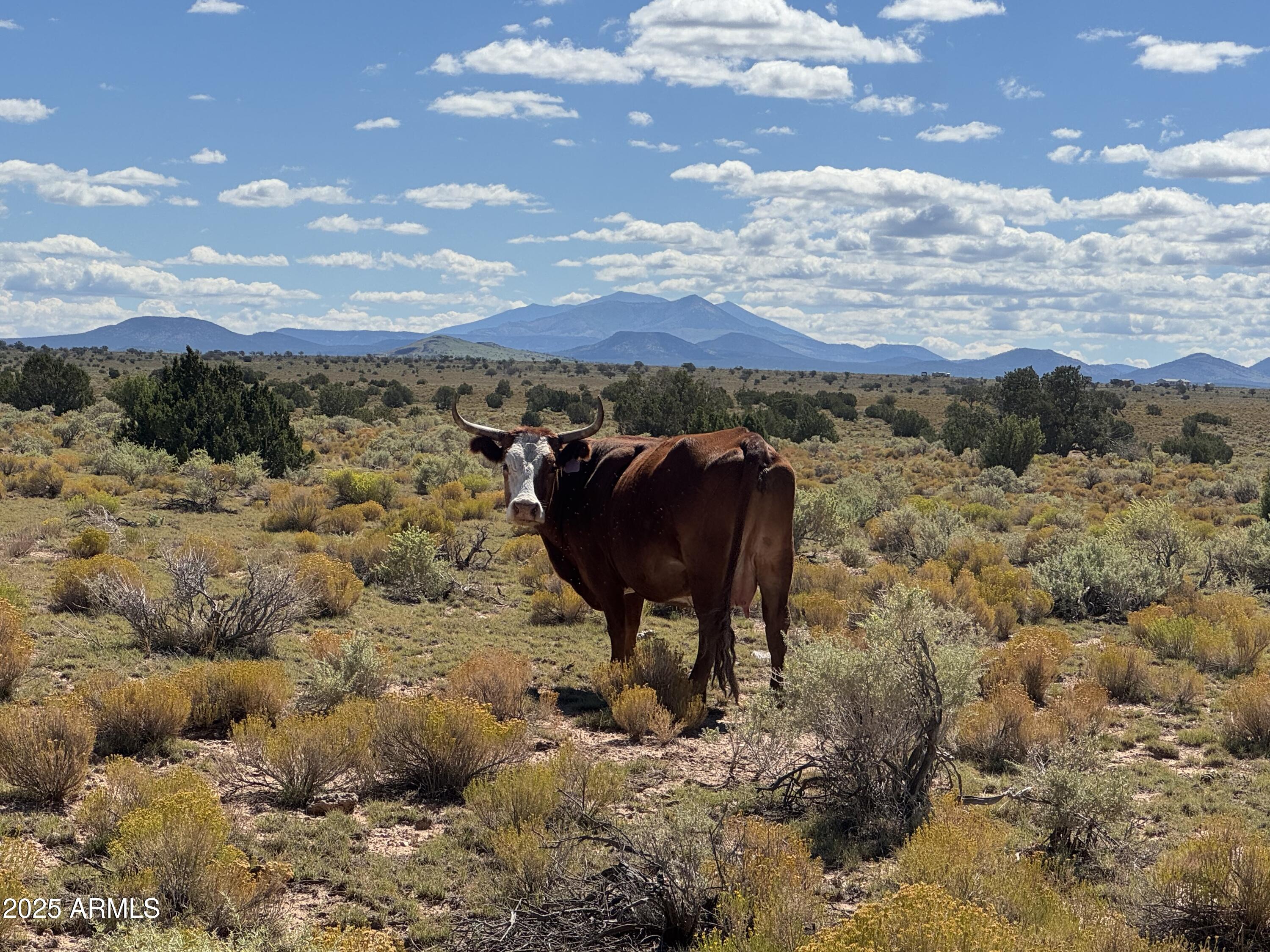 3132 S APOLLO Avenue -