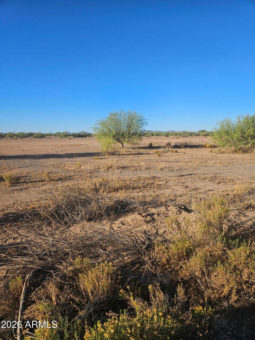Photo of 11478 W Xavier Drive #1021, Arizona City, AZ 85123 (MLS # 7050099)