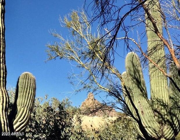 25555 N WINDY WALK Drive 1