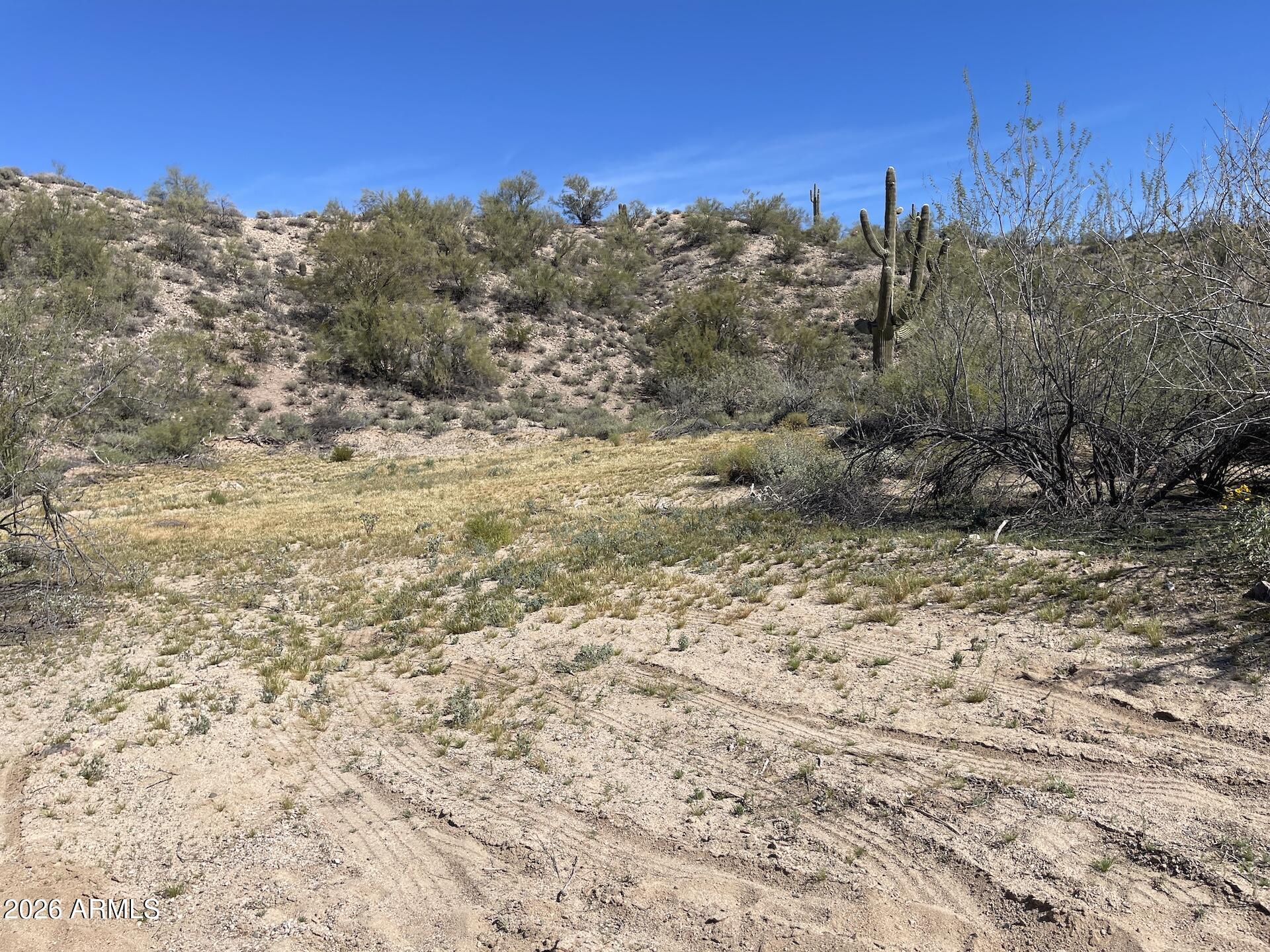 41XX4 N 276th Avenue 4