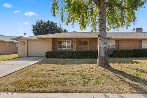 9913 W SPRUCE Drive Sun City AZ 85351