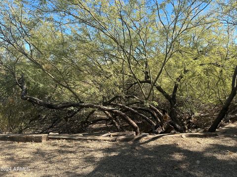 A home in Wickenburg