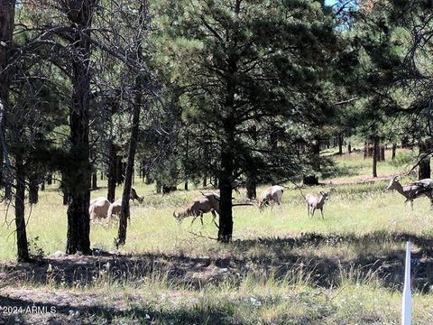 A home in Pinetop