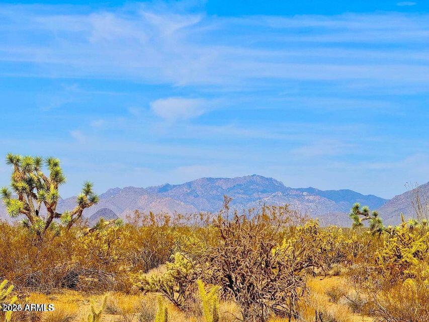 TBD APEX  1.07 Acres Road -