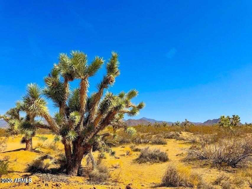 TBD APEX  1.07 Acres Road -