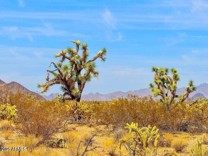 TBD APEX  1.07 Acres Road -