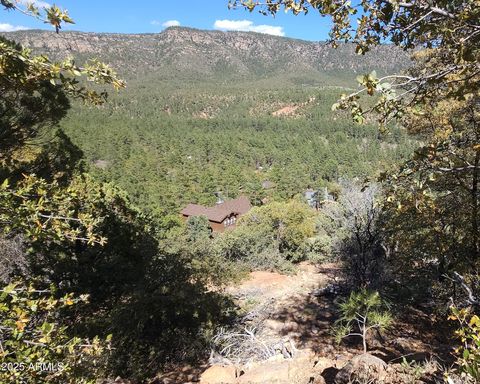 5059 N HILLTOP Drive 147 Pine AZ 85544