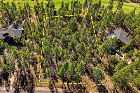 3581 W SENNA Lane W 247 Show Low AZ 85901