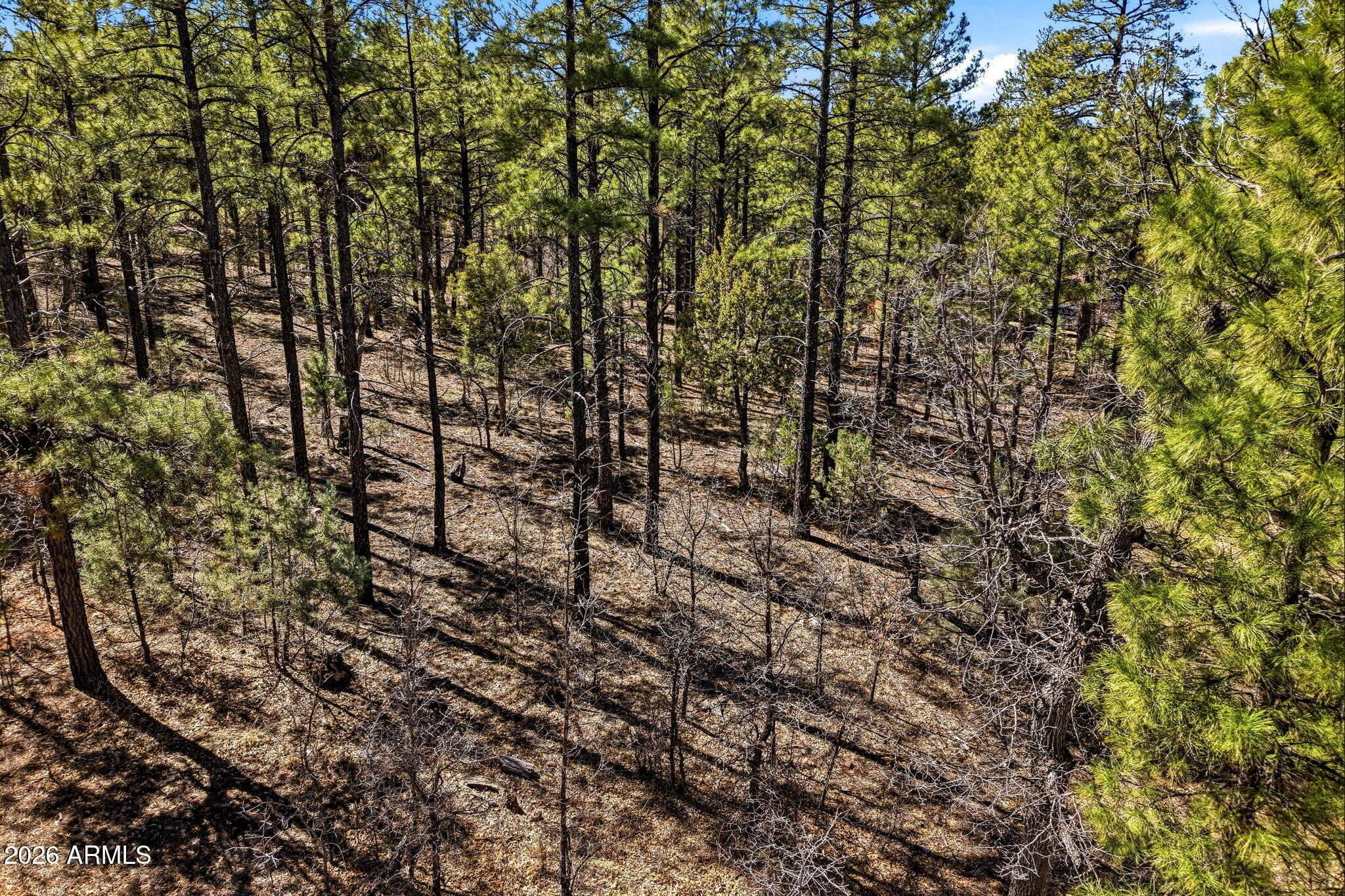 3581 W SENNA Lane W 247