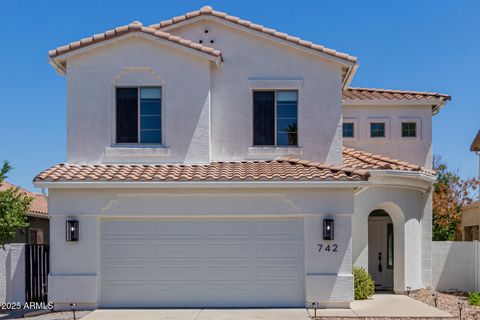 742 W VINEYARD PLAINS Drive San Tan Valley AZ 85143