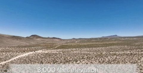 20455 N Skipper Boulevard 282 White Hills AZ 86445