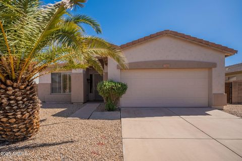 1343 W ROADRUNNER Drive Chandler AZ 85286