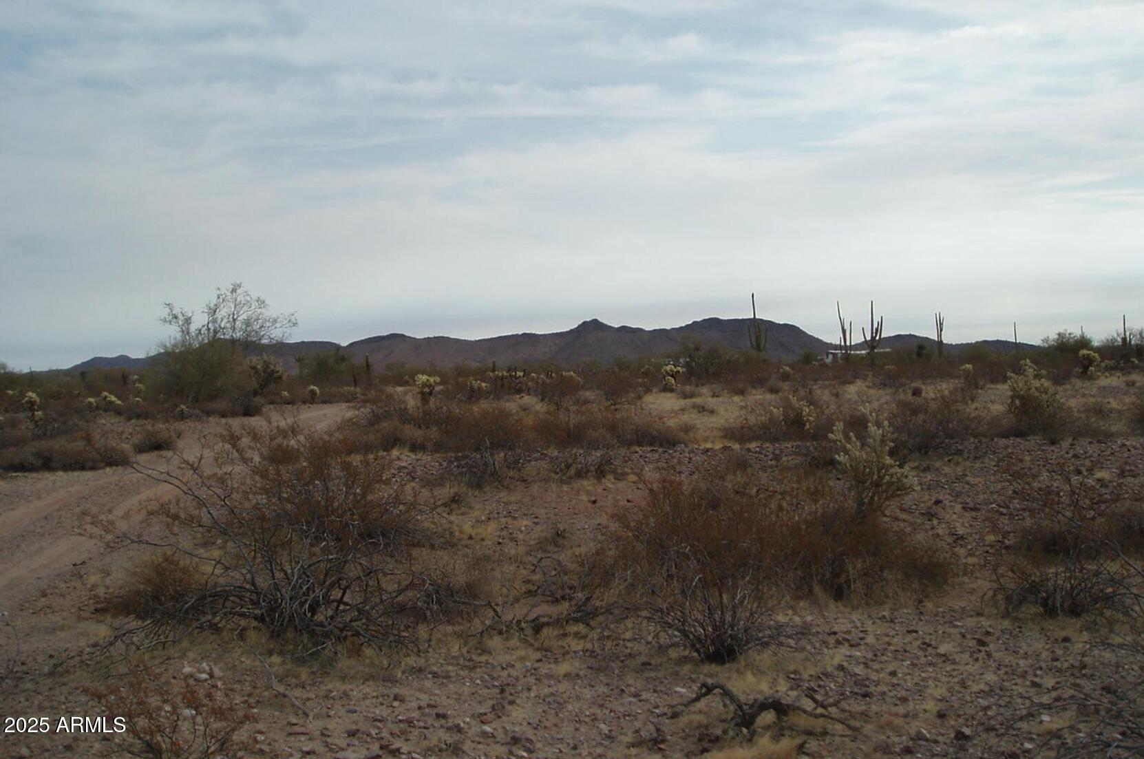 33239 W RESTIN Road 93