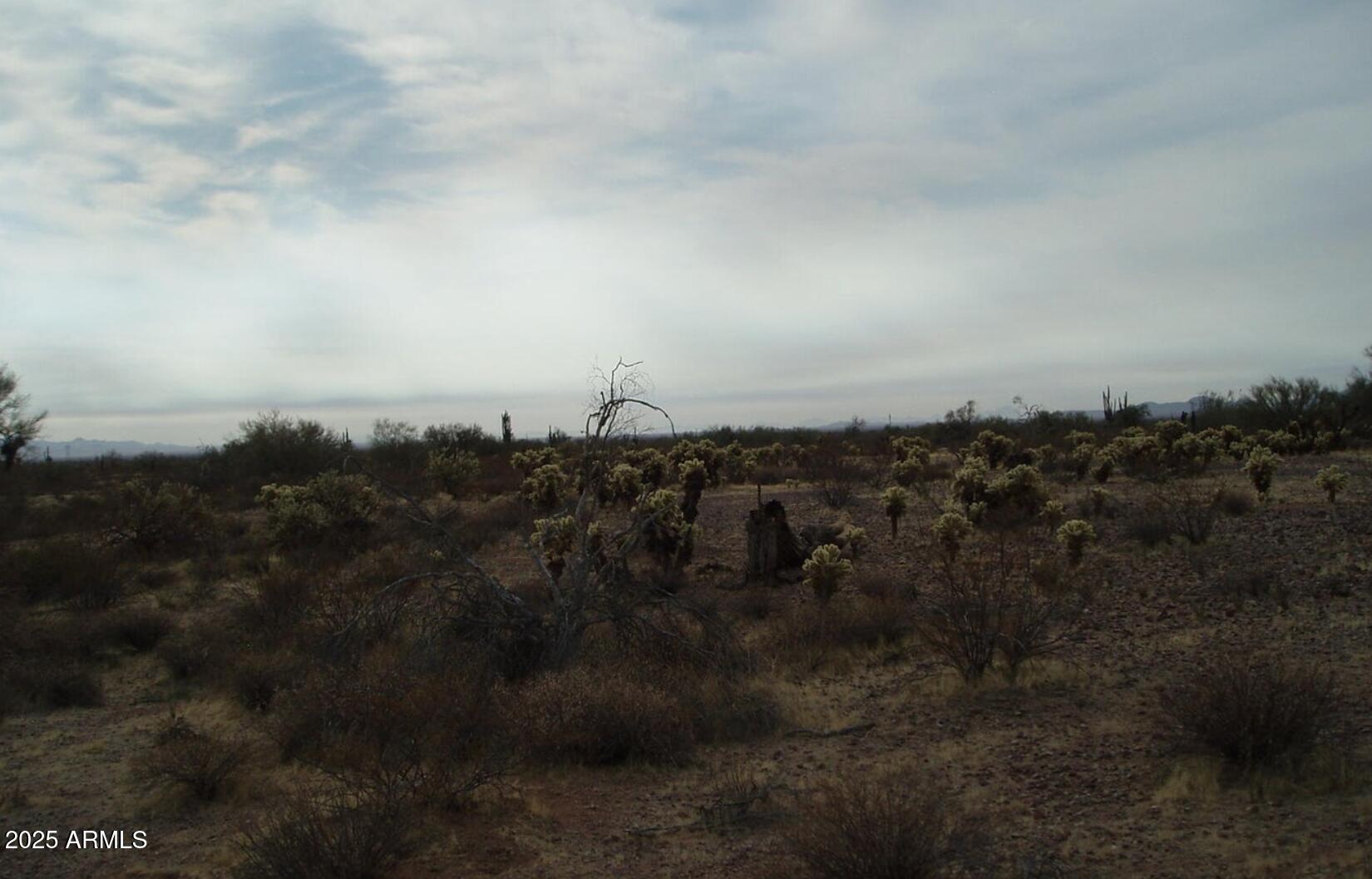 33239 W RESTIN Road 93