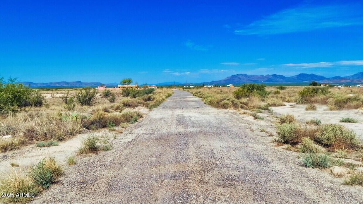 0011 W Holly Lane 11